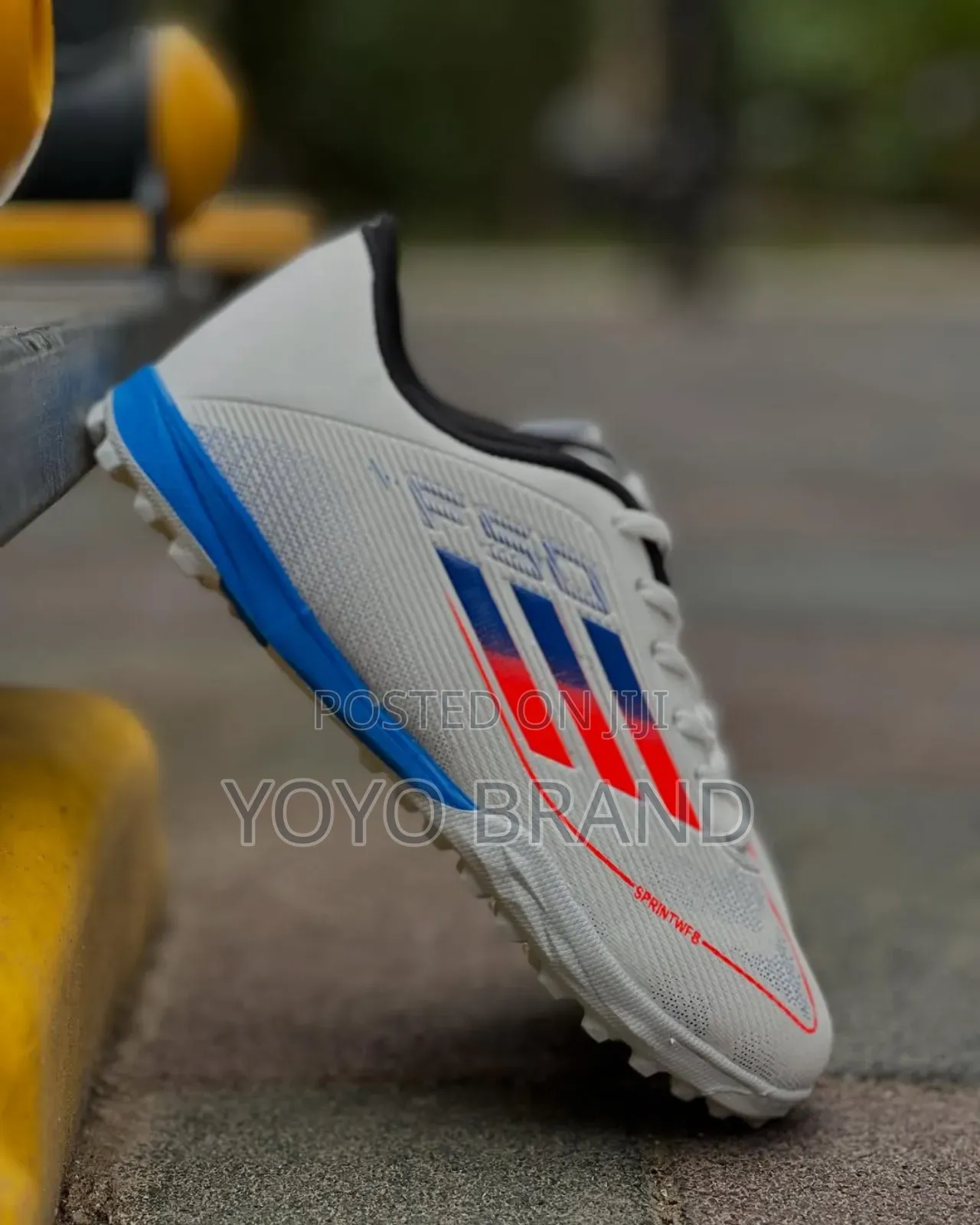 Skechers F50 Futsal Shoes White