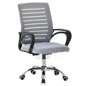 Photo - Comfortable Secretary Chair(Silver Color)
