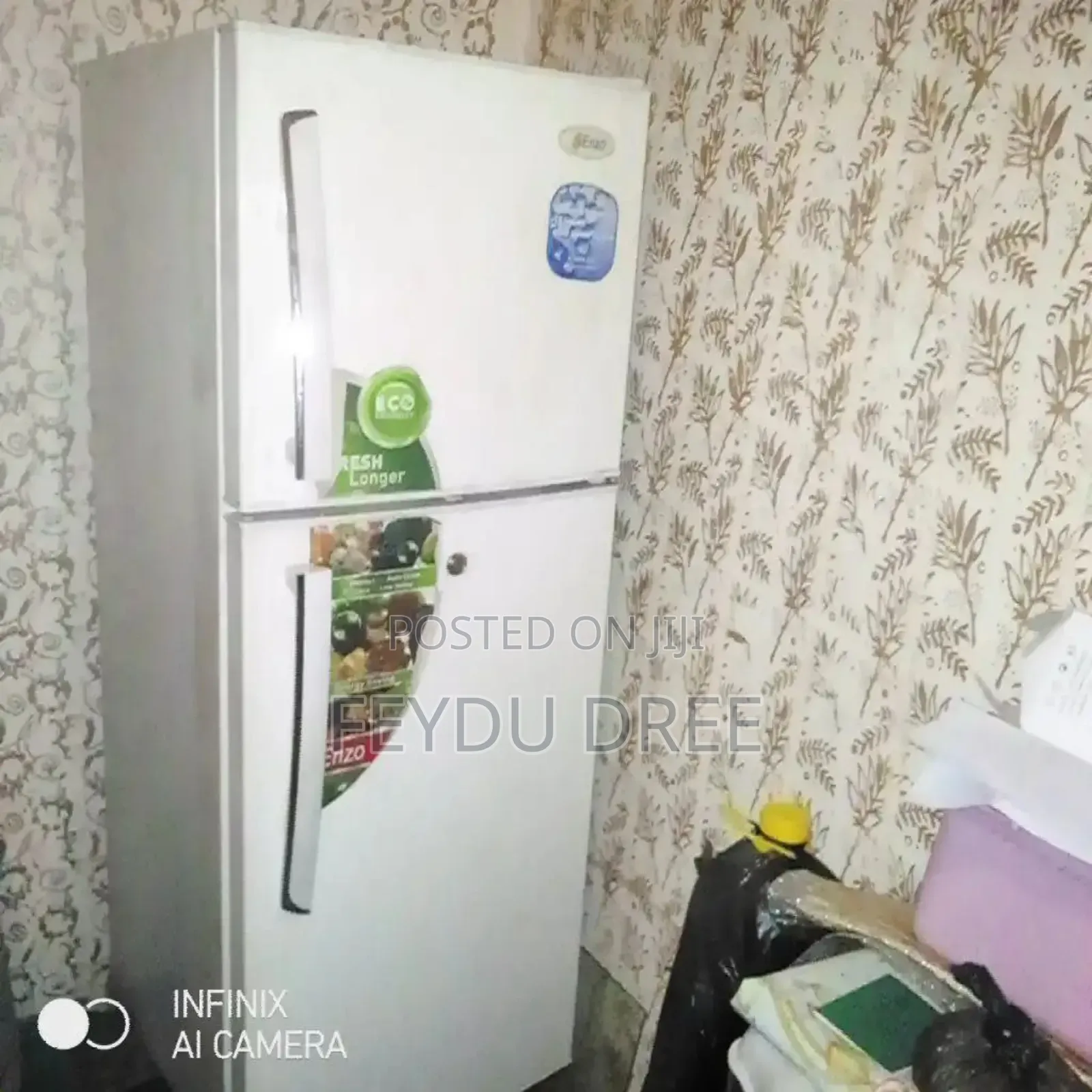 አሪፍ ፍሪጅ ምንም ያልተነካካ