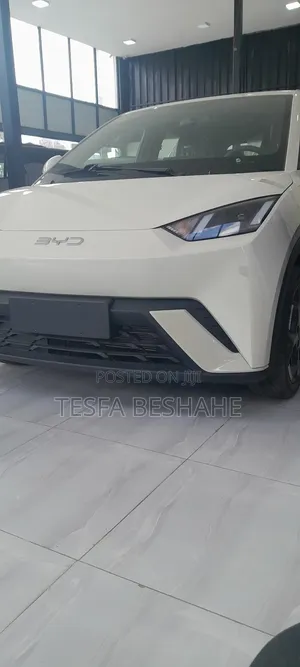 Photo - New BYD Seagull 2025 White