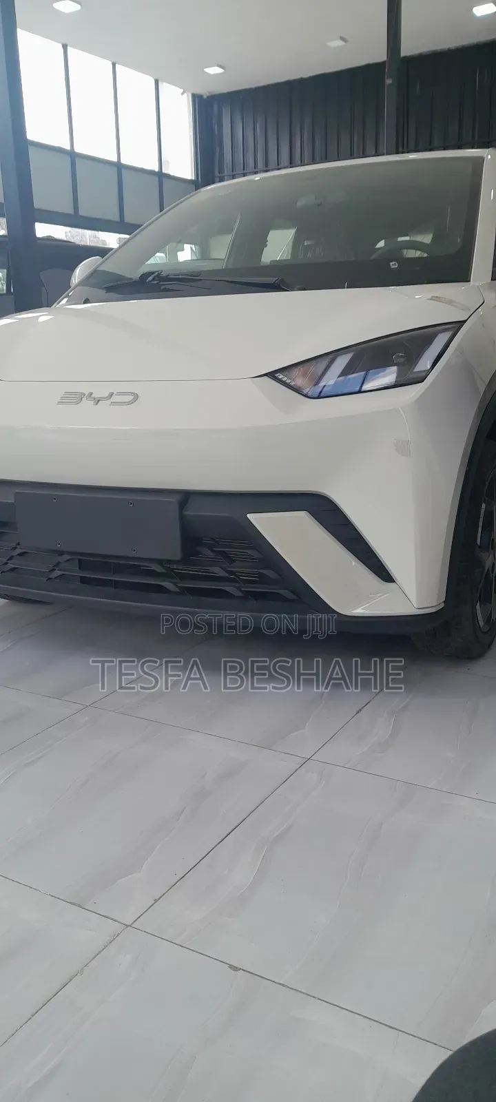 New BYD Seagull 2025 White