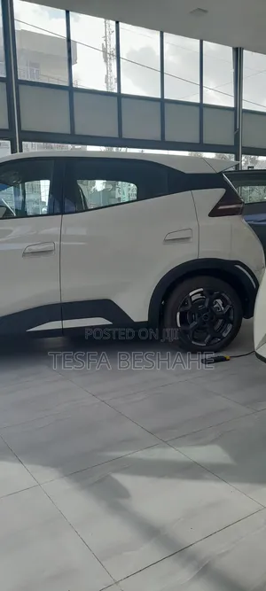 New BYD Seagull 2025 White