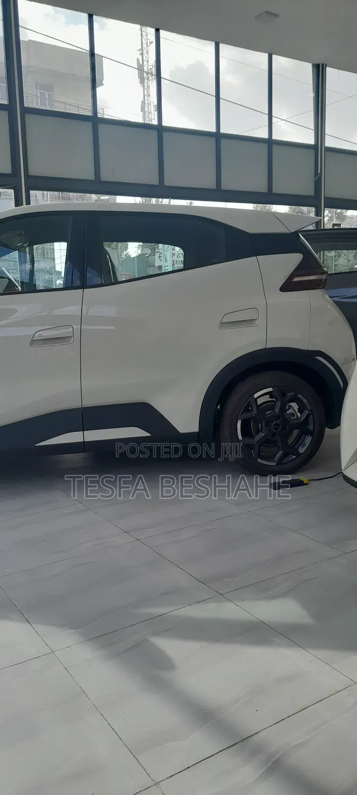 New BYD Seagull 2025 White