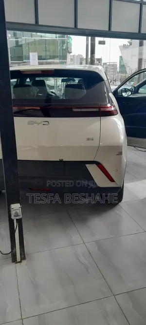 New BYD Seagull 2025 White