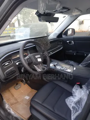 New BAIC BJ30e 2025 Gray