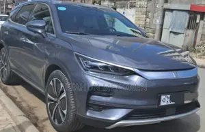 BYD Tang EV 2025 Gray