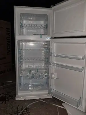 Hyundai 350 Model Real Fridge
