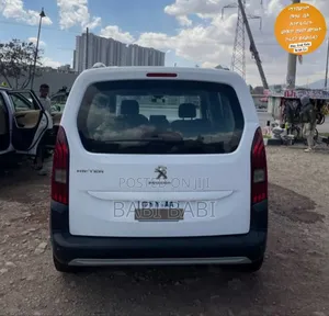 Peugeot Rally 2019 White