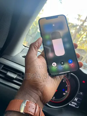 Apple iPhone 12 Pro Max 256 GB Blue