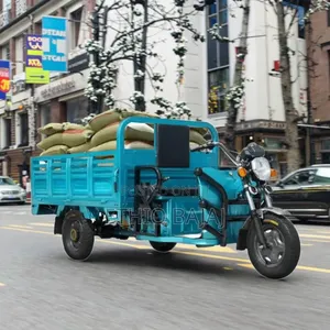 New Bajaj 2024 Blue