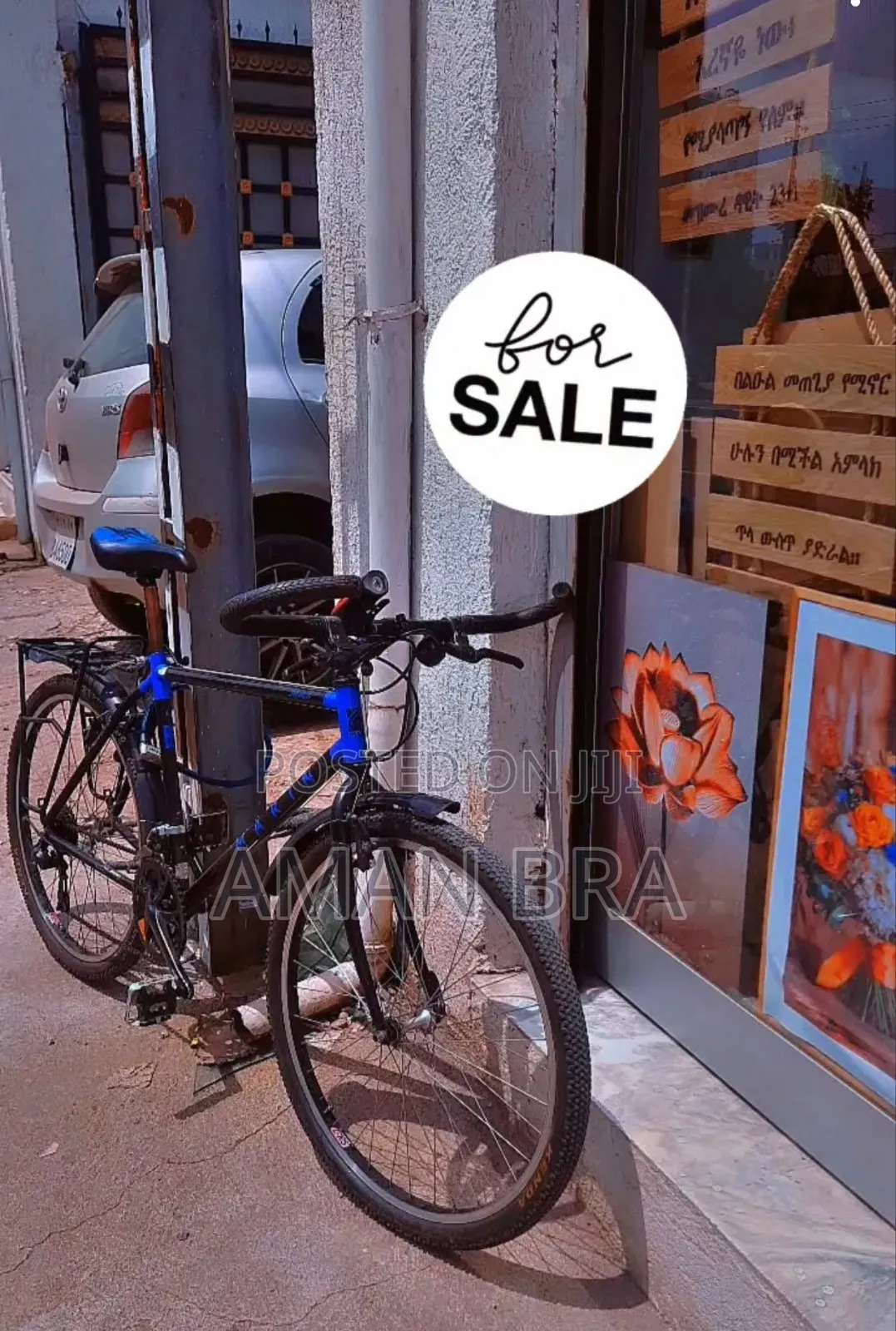 Marin Bicycle From Usa