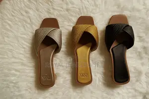 Photo - Zara Flat Shoe