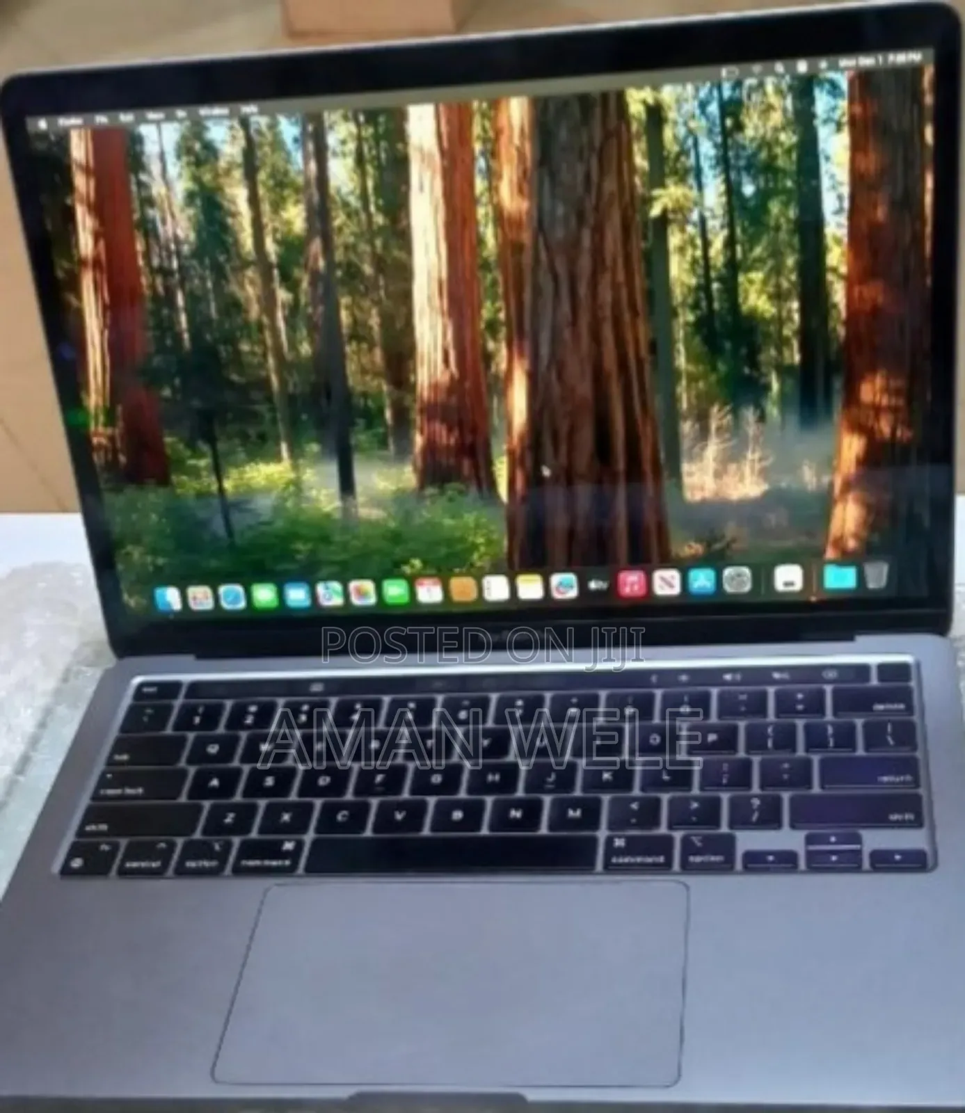 New Laptop Apple MacBook Pro M1 8GB Apple M1 Pro SSD 256GB