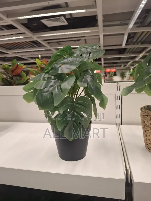 Ikea Fejka Artificial Potted Plant for sale -  Price: ETB 3,000 on  Jiji.com.et [Yeka]