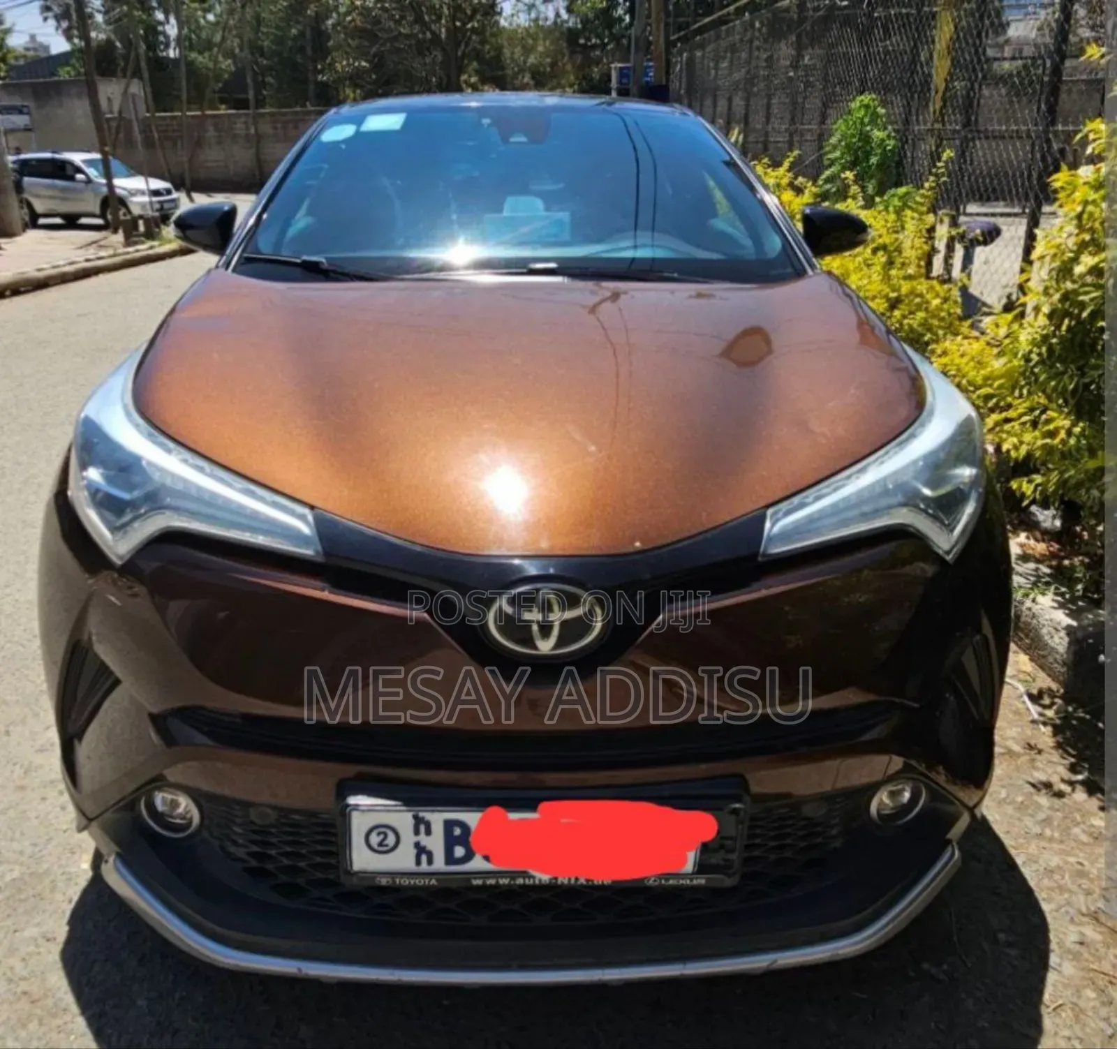 Toyota C-HR 2019 Brown