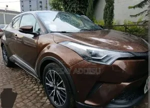 Toyota C-HR 2019 Brown