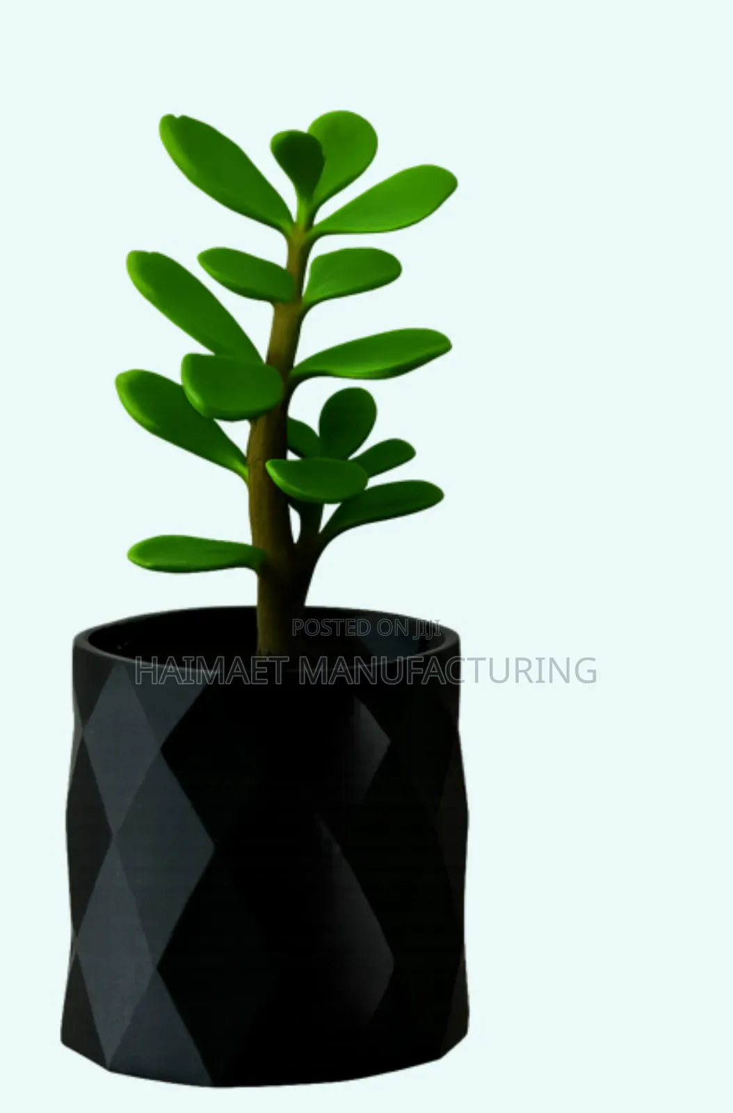 Office Desk Organizers