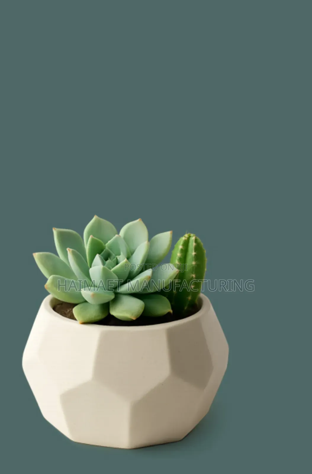 Office Desk Organizers