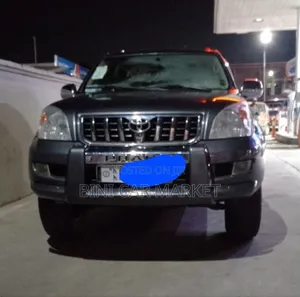 Toyota Land Cruiser Prado 2007 Gray