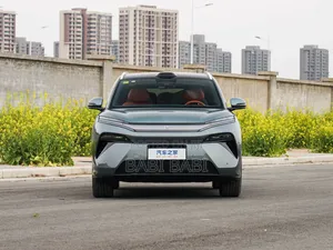 Photo - New BYD Tang EV 2025 Gray