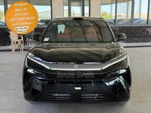 Photo - New BYD Tang EV 2025 Matt Black