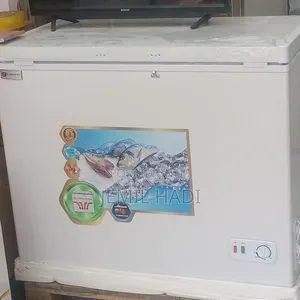 Everest Chest Freezer Cer 430l