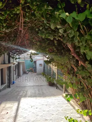 5bdrm House in G+1 House, Bole for rent