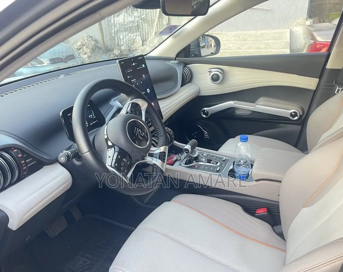 BYD Yuan Plus 2024 Gray