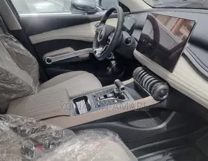 BYD Yuan Plus 2024 Gray