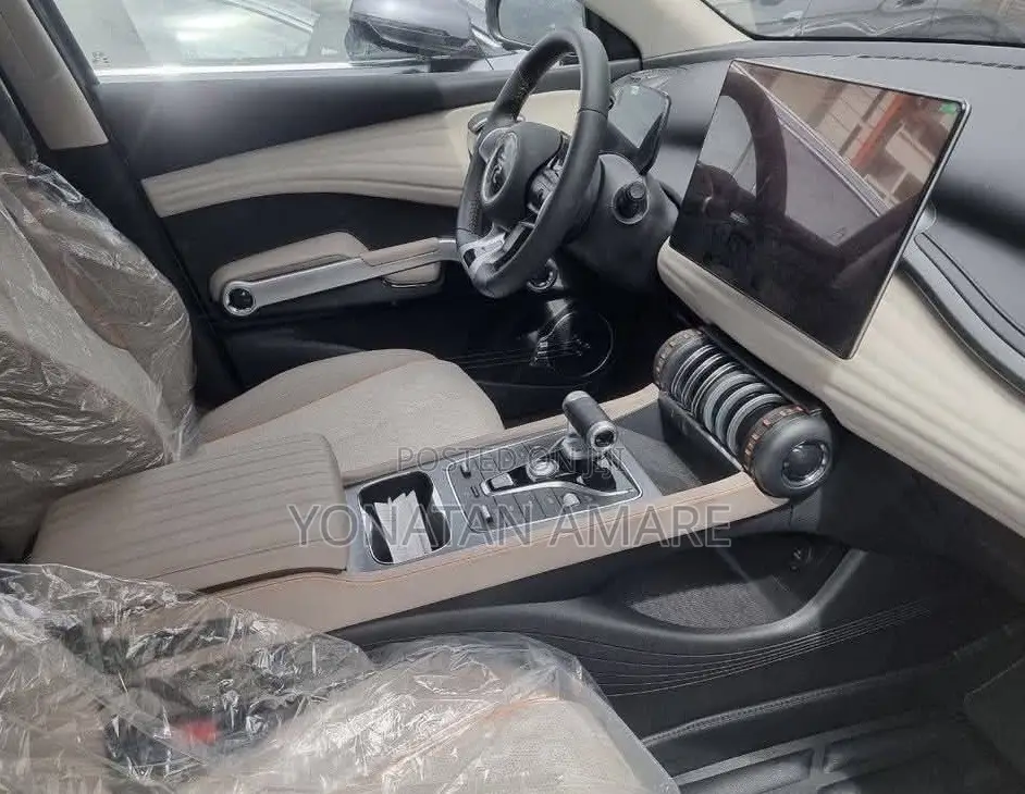 BYD Yuan Plus 2024 Gray