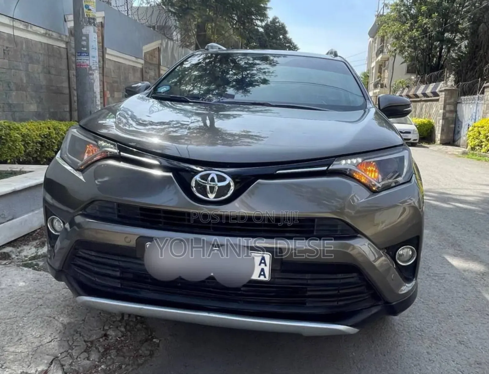 Toyota RAV4 2017 Beige