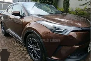 Toyota C-HR 2019 Brown