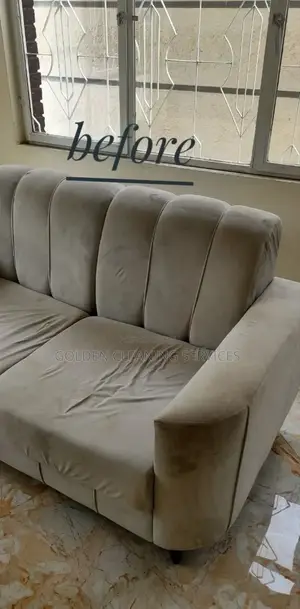 Golden Clean Series