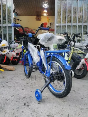 Photo - New Number 16 Bike