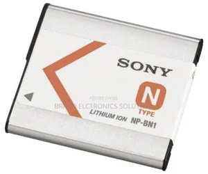 Sony Camera Battery