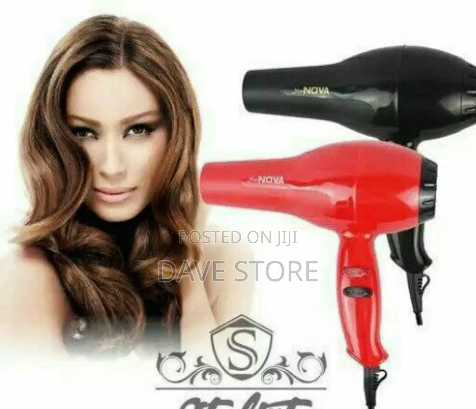 Nova Professional Hair Dryer