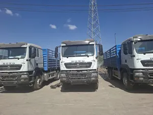 Photo - Sinotruk Cargo Truck (Bank50%)15,000,000