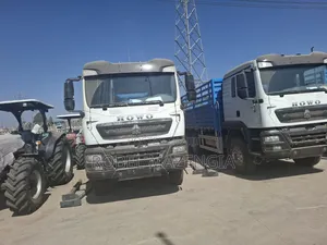 Sinotruk Cargo Truck (Bank50%)15,000,000