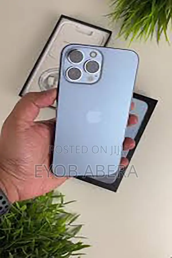 Apple iPhone 13 Pro Max 256 GB