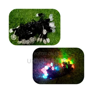Multi‐Colored Led Fairy Lights Ornament Strings