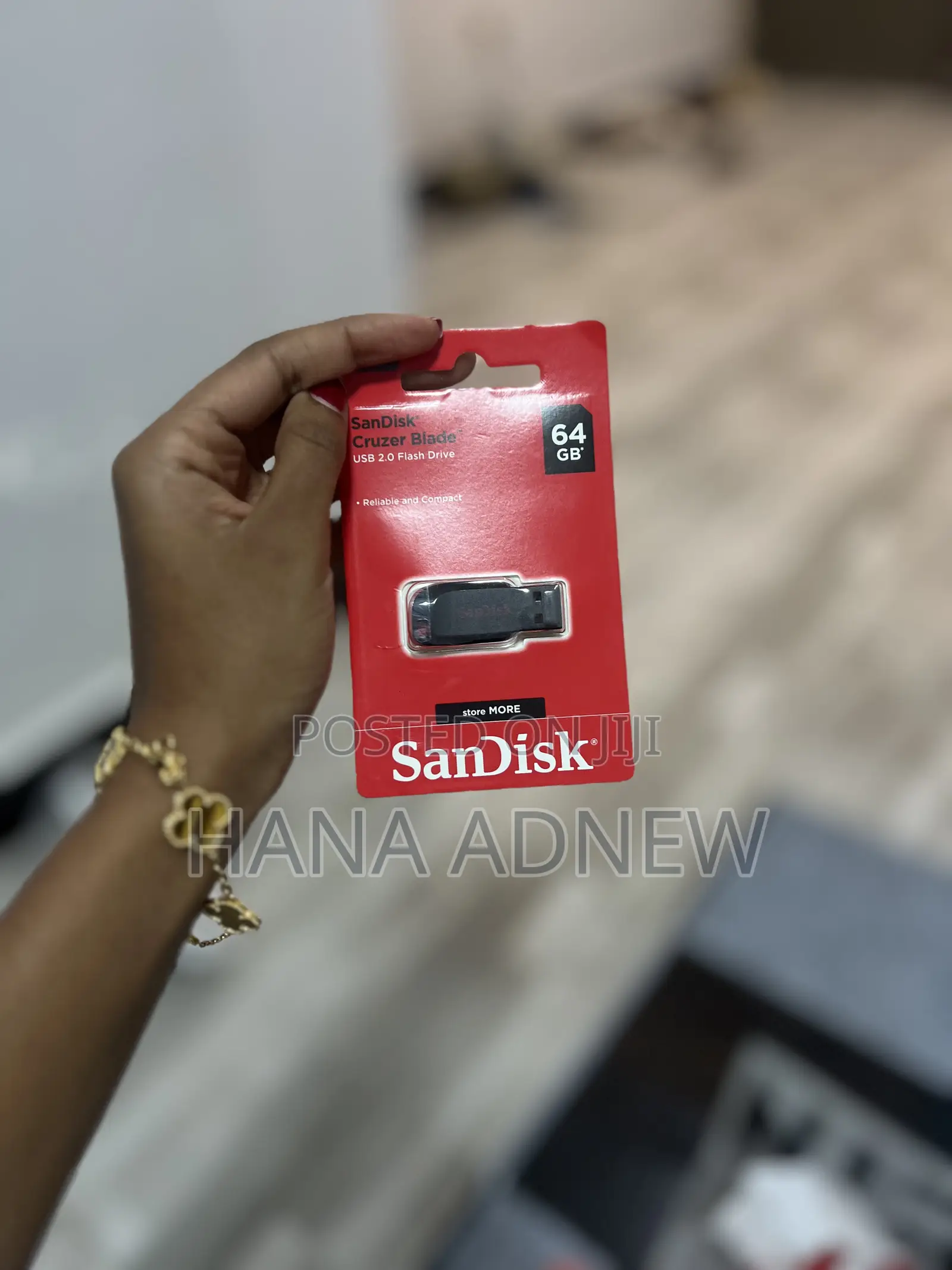 San Disk Flash Disk