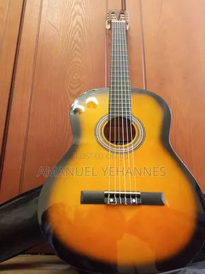 Pro Sound Acoustic Classical Guitar