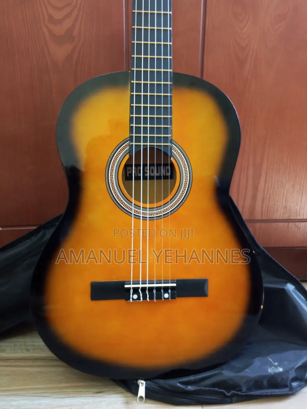 Pro Sound Acoustic Classical Guitar