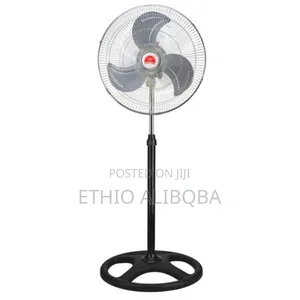 Standing Fan