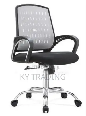 Comfortable Staff and Office Chair