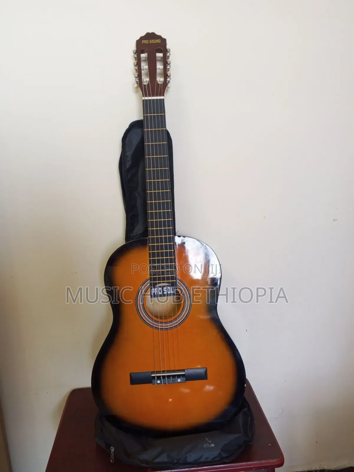 Pro Sound Acoustic Classical Guitar