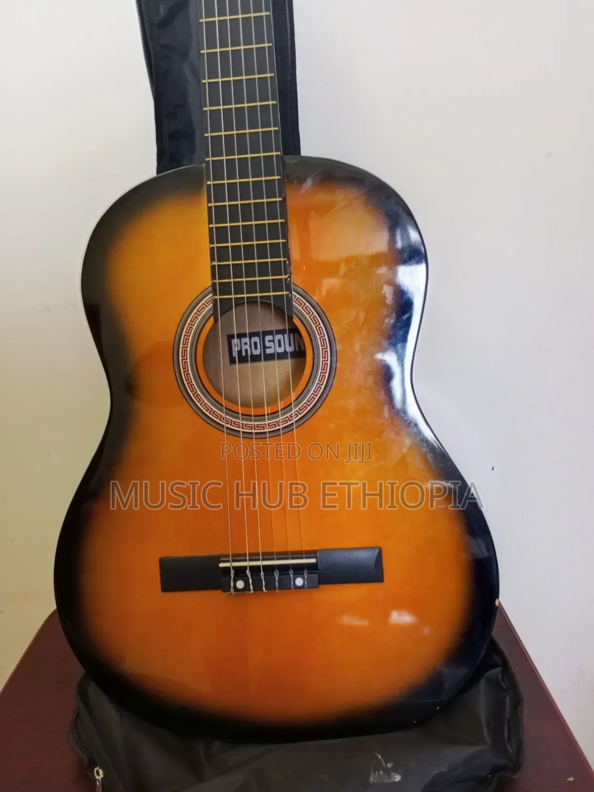 Pro Sound Acoustic Classical Guitar