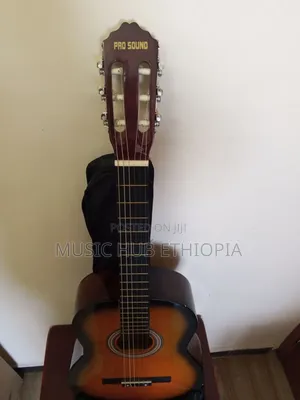 Pro Sound Acoustic Classical Guitar