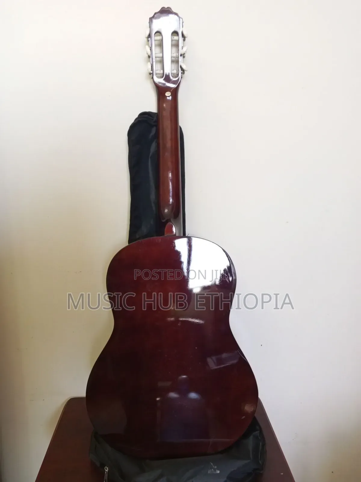 Pro Sound Acoustic Classical Guitar