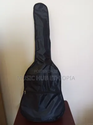 Pro Sound Acoustic Classical Guitar